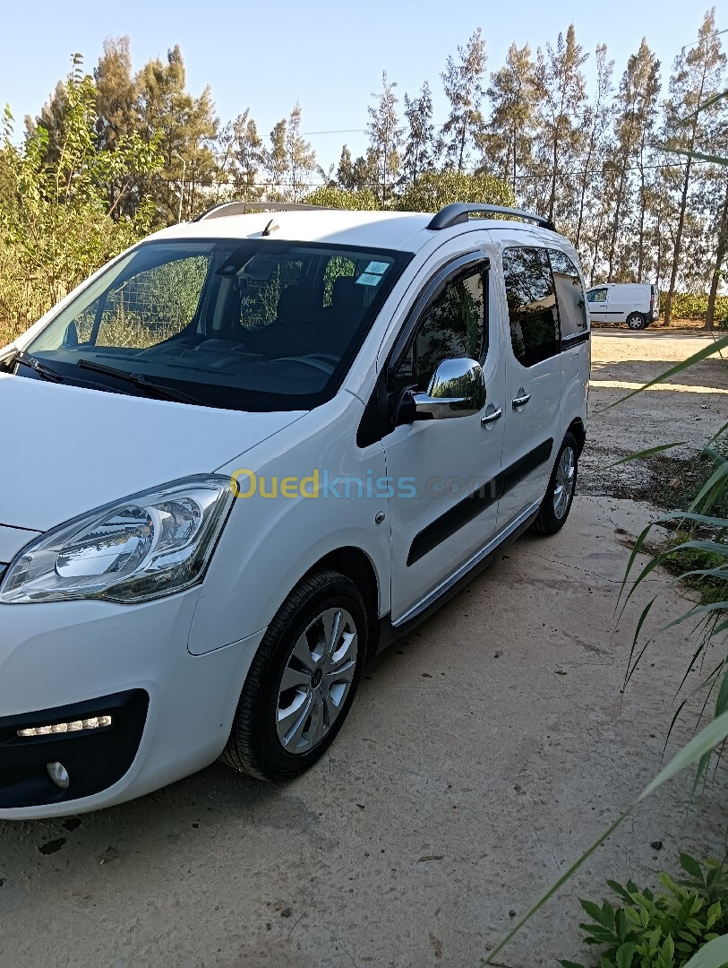 Citroen Berlingo Multispace 2018 Berlingo Multispace