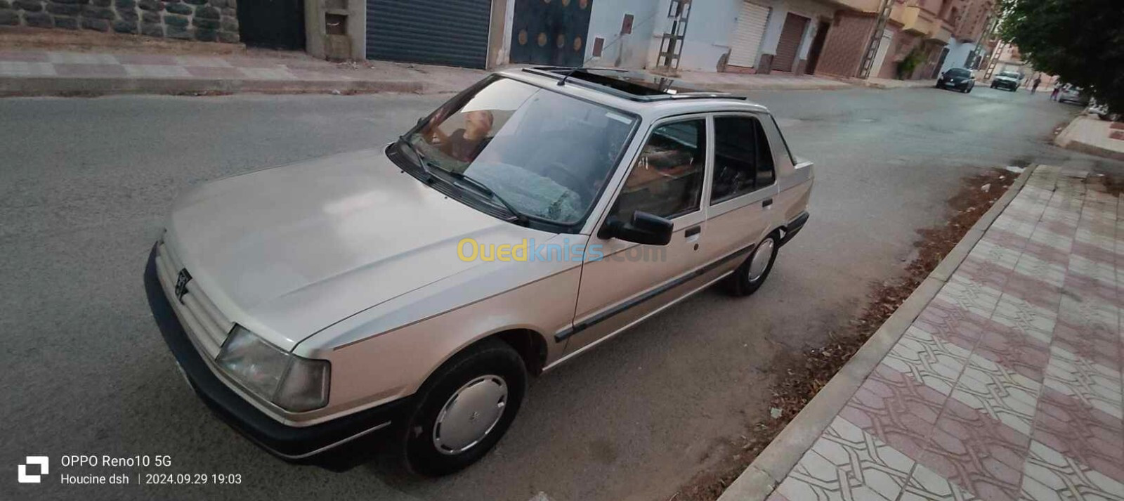 Peugeot 309 1992 309