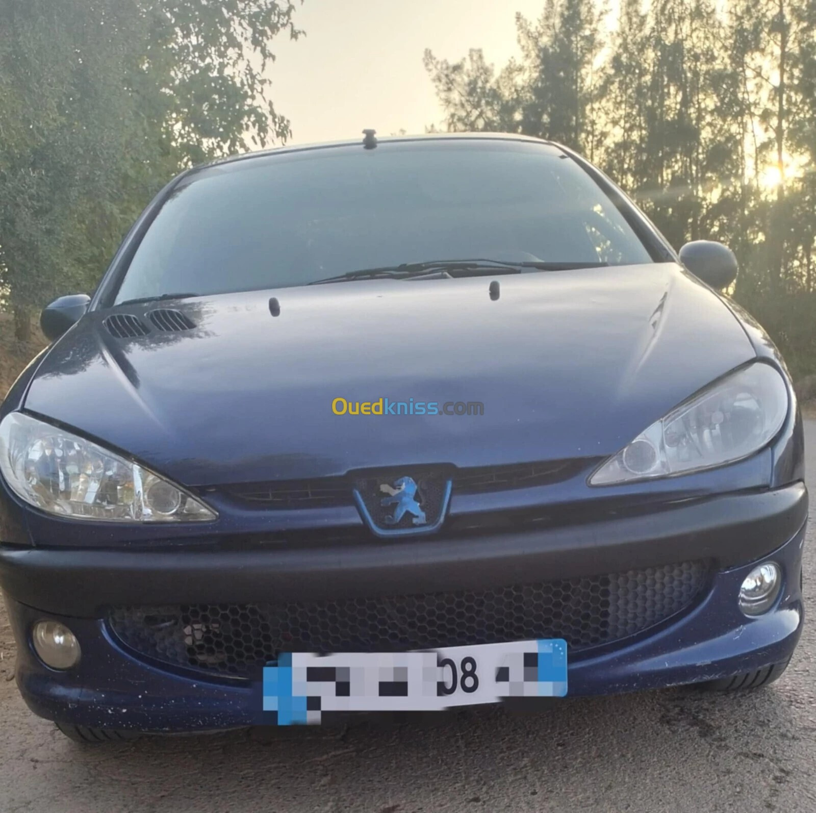 Peugeot 206 Sedan 2008 