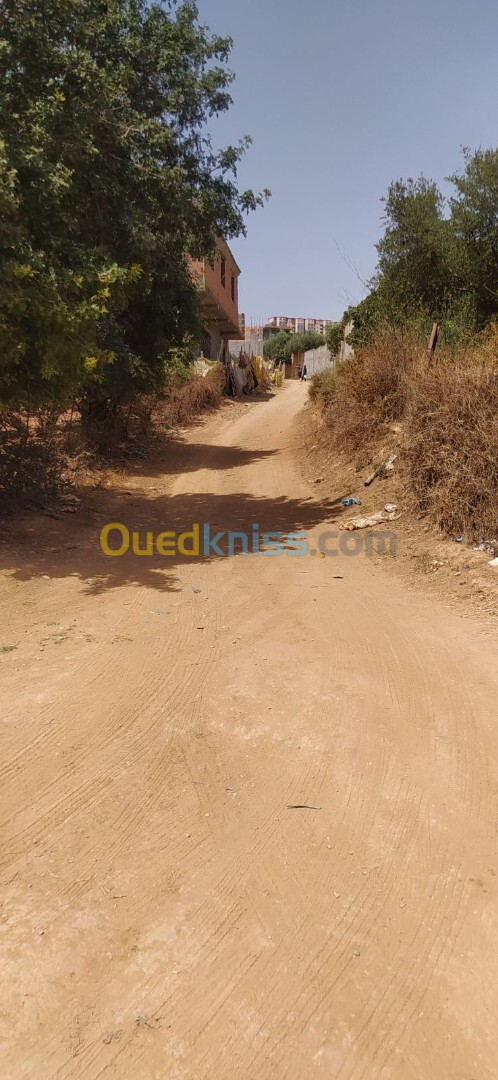 Vente Terrain Tlemcen Tlemcen