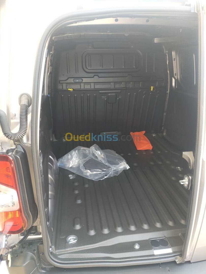 Fiat Professional Doblo 2024 Professional