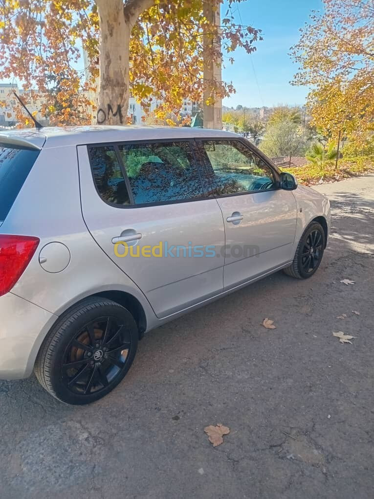 Skoda Fabia 2014 Visage