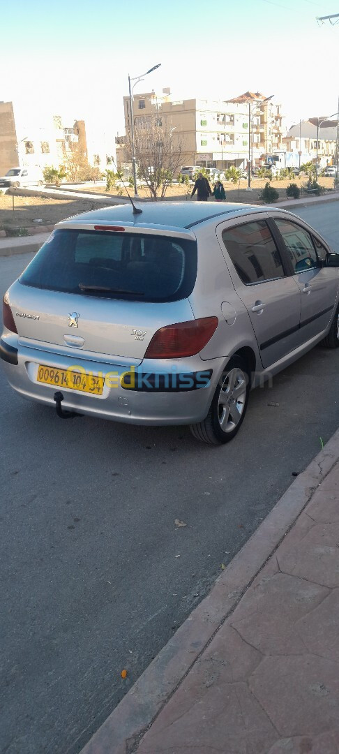 Peugeot 307 2004 307