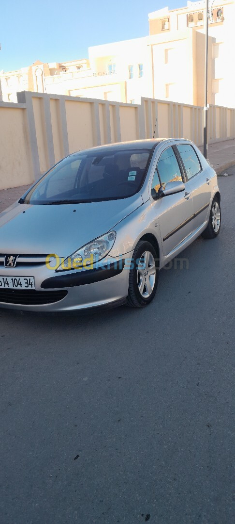 Peugeot 307 2004 307