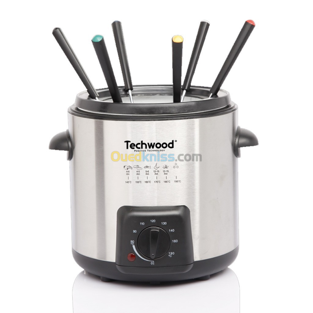 Friteuse 2en1 Inox Techwood 