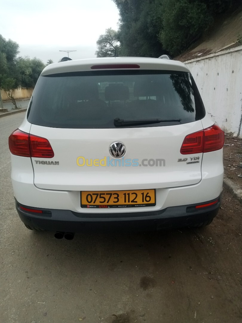 Volkswagen Tiguan 2012 Tiguan