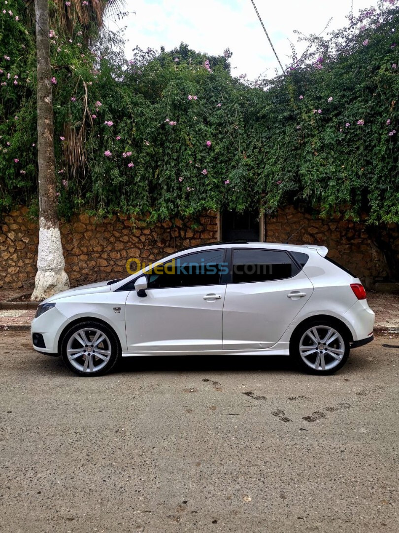 Seat Ibiza 2011 Edition 50