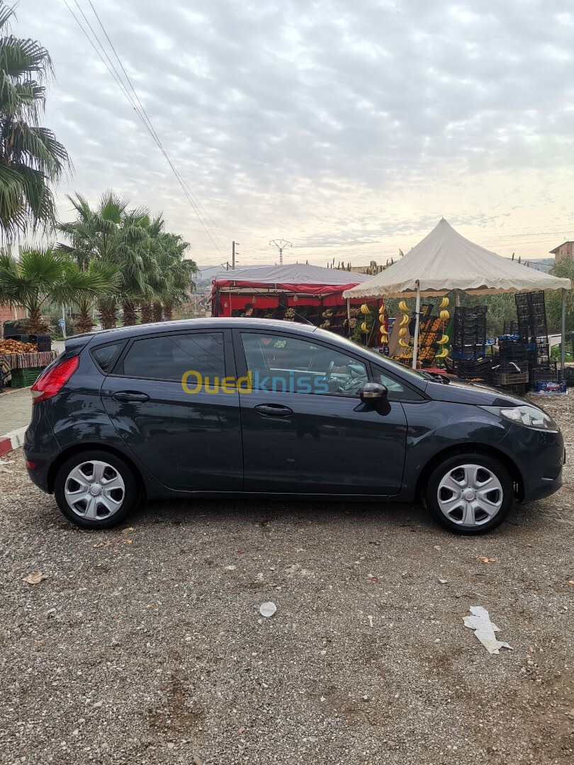 Ford Fiesta 2011 Fiesta