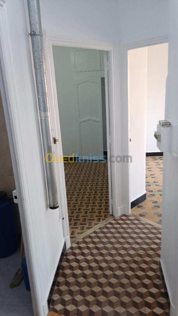 Location Appartement F3 Alger Alger centre