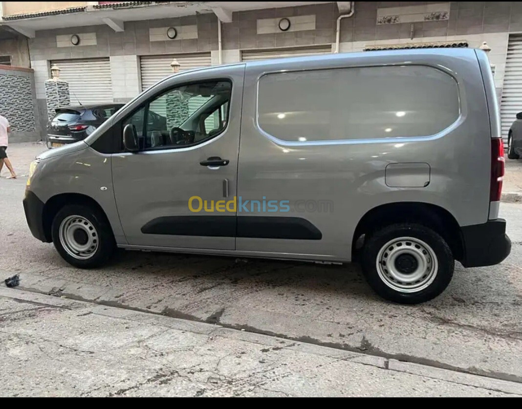 Fiat Professional Doblo 2024 Doblo