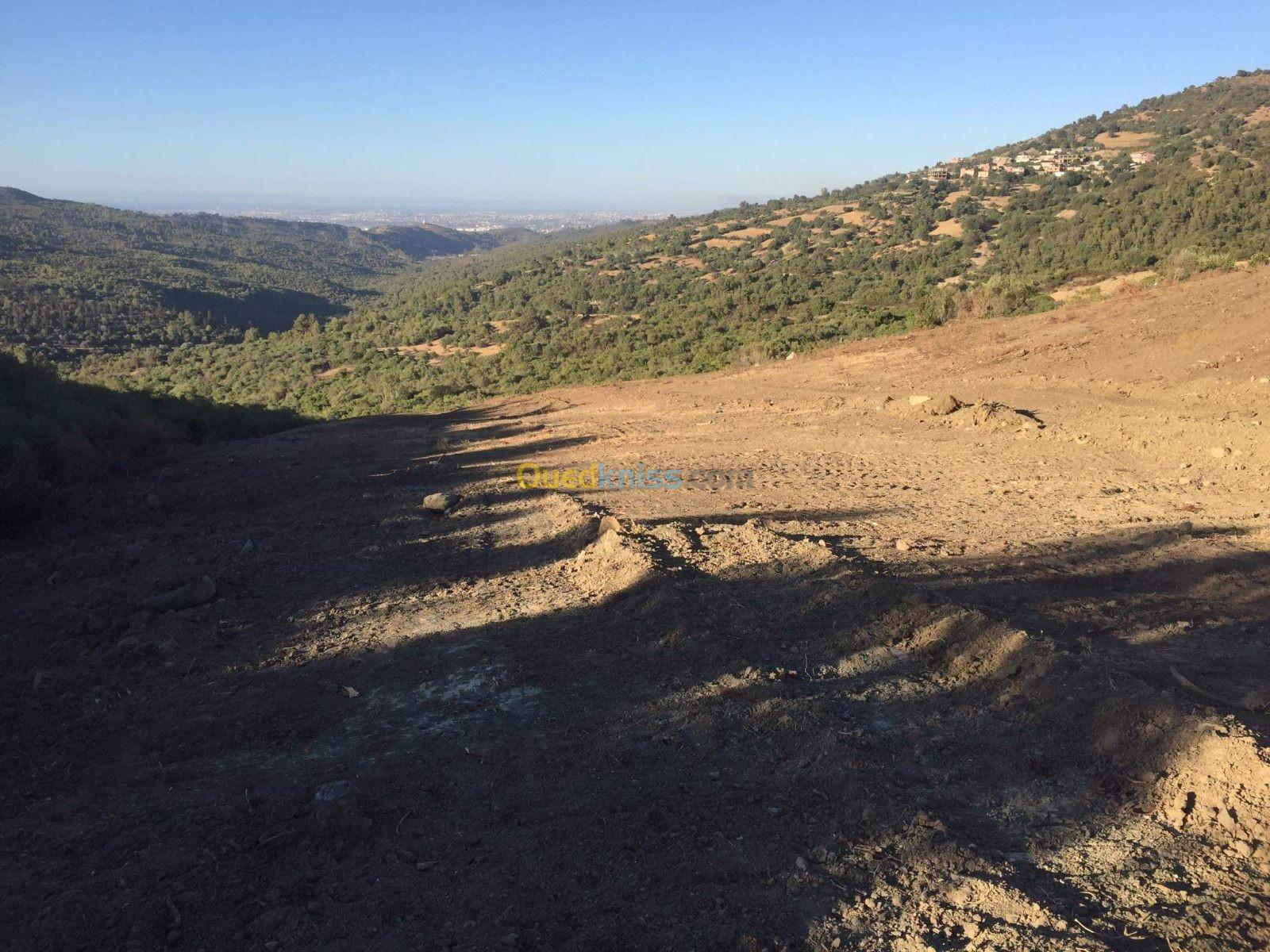 Vente Terrain Blida Meftah