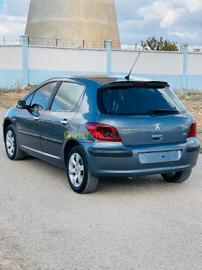 Peugeot 307 2006 Oxygo