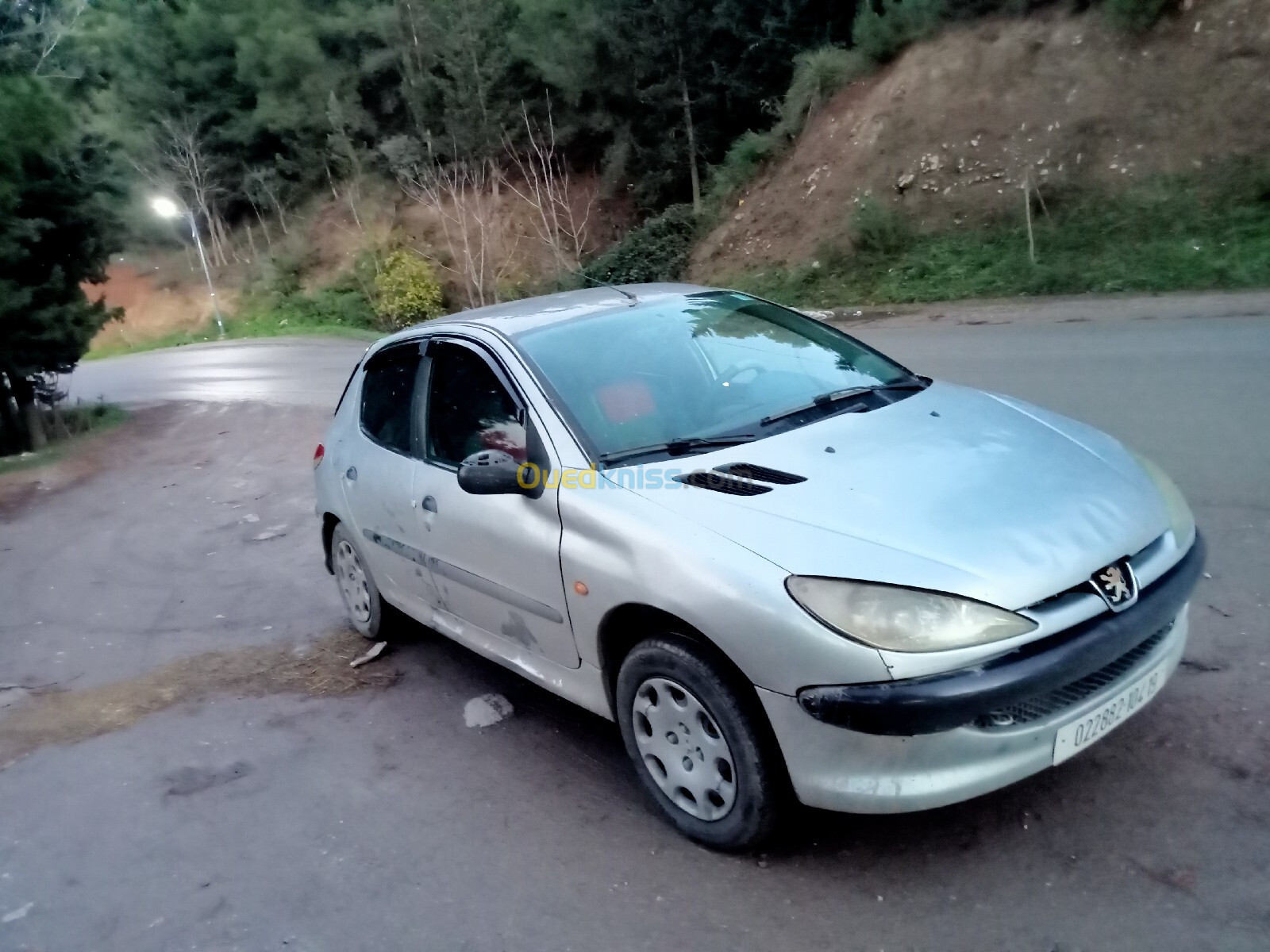 Peugeot 206 2004 206