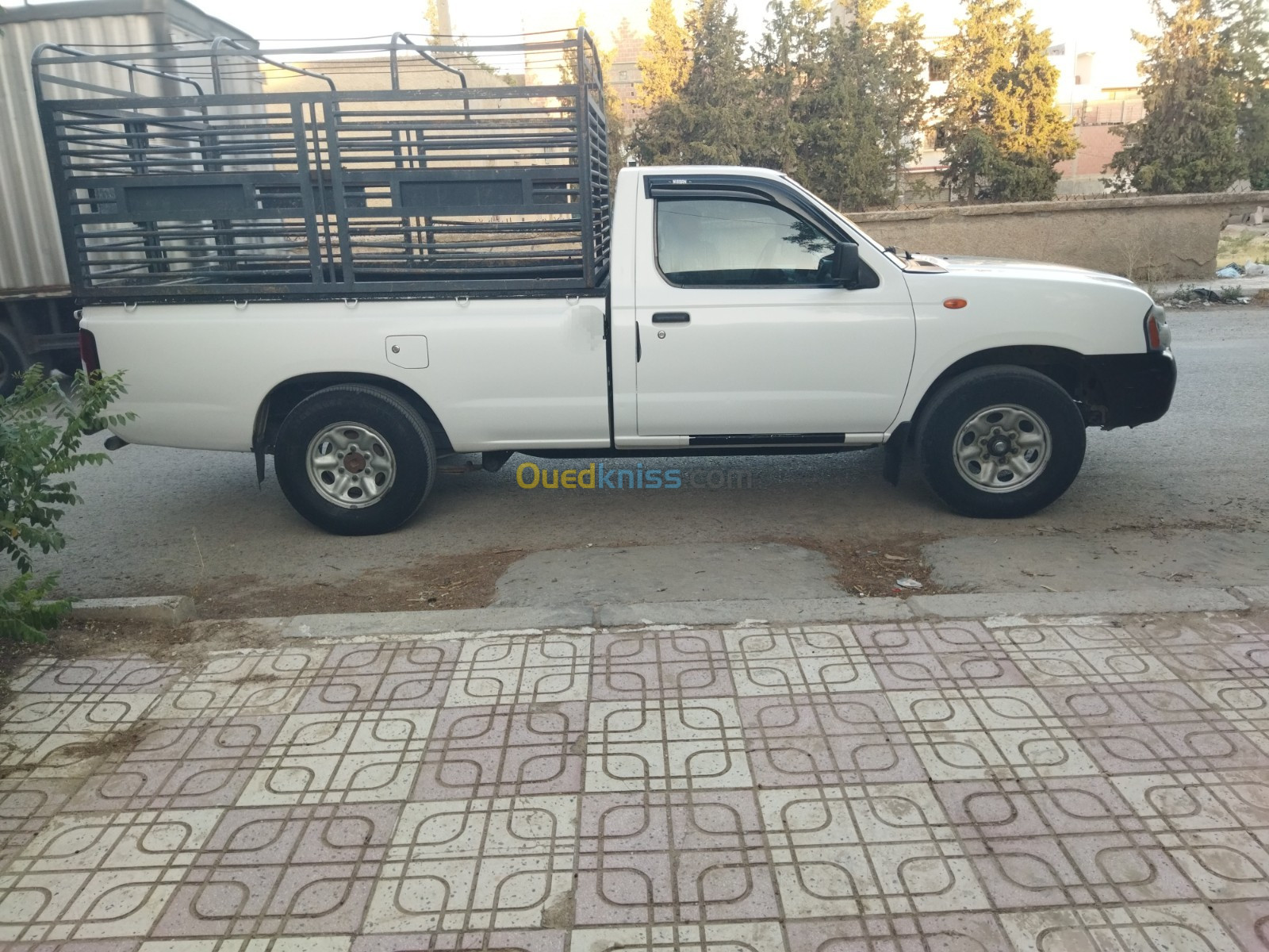 Nissan Pickup 2010 Pickup