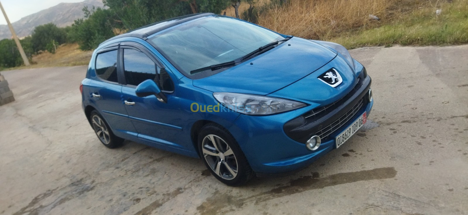 Peugeot 207 2009 Sportium