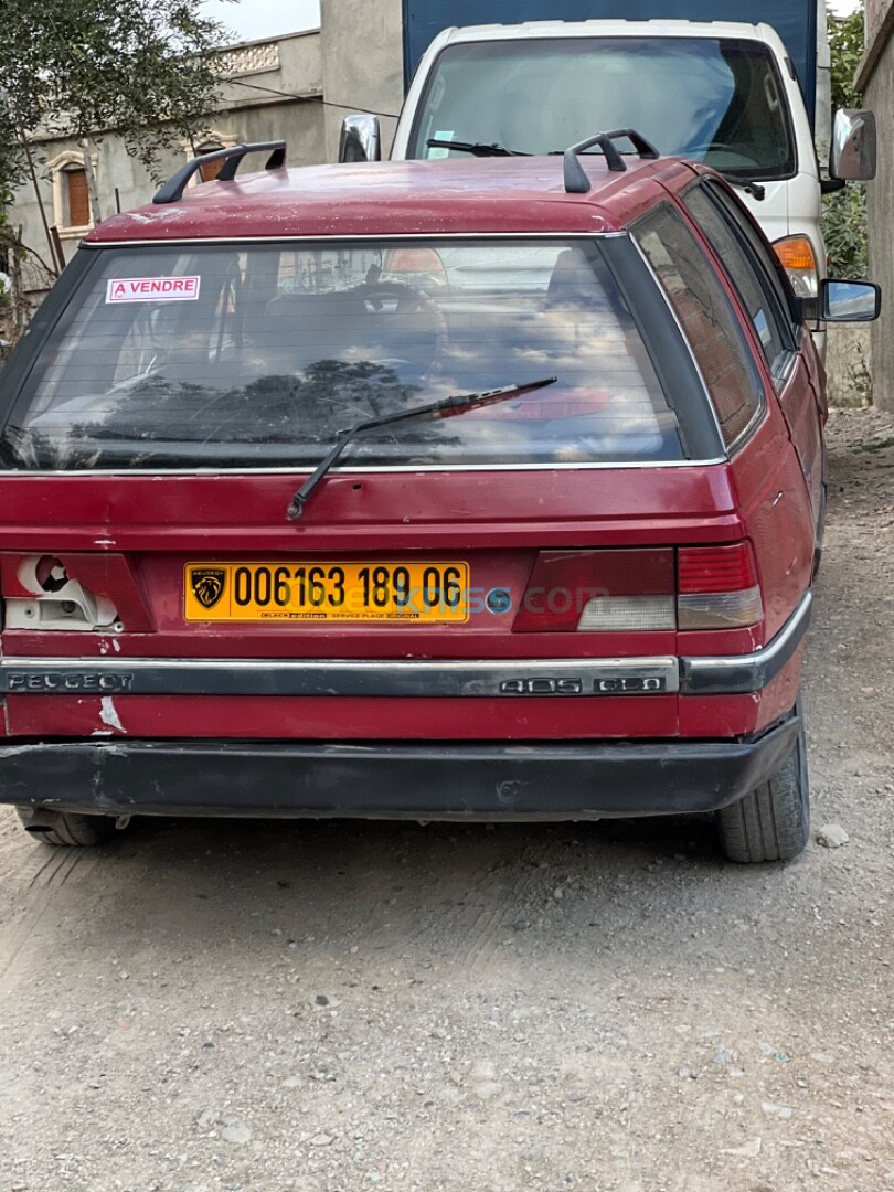 Peugeot 405 1989 Familiars