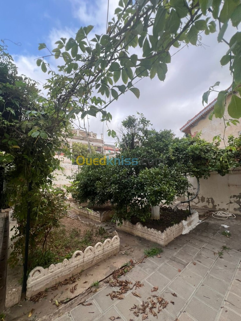 Vente Villa Alger Bab el oued