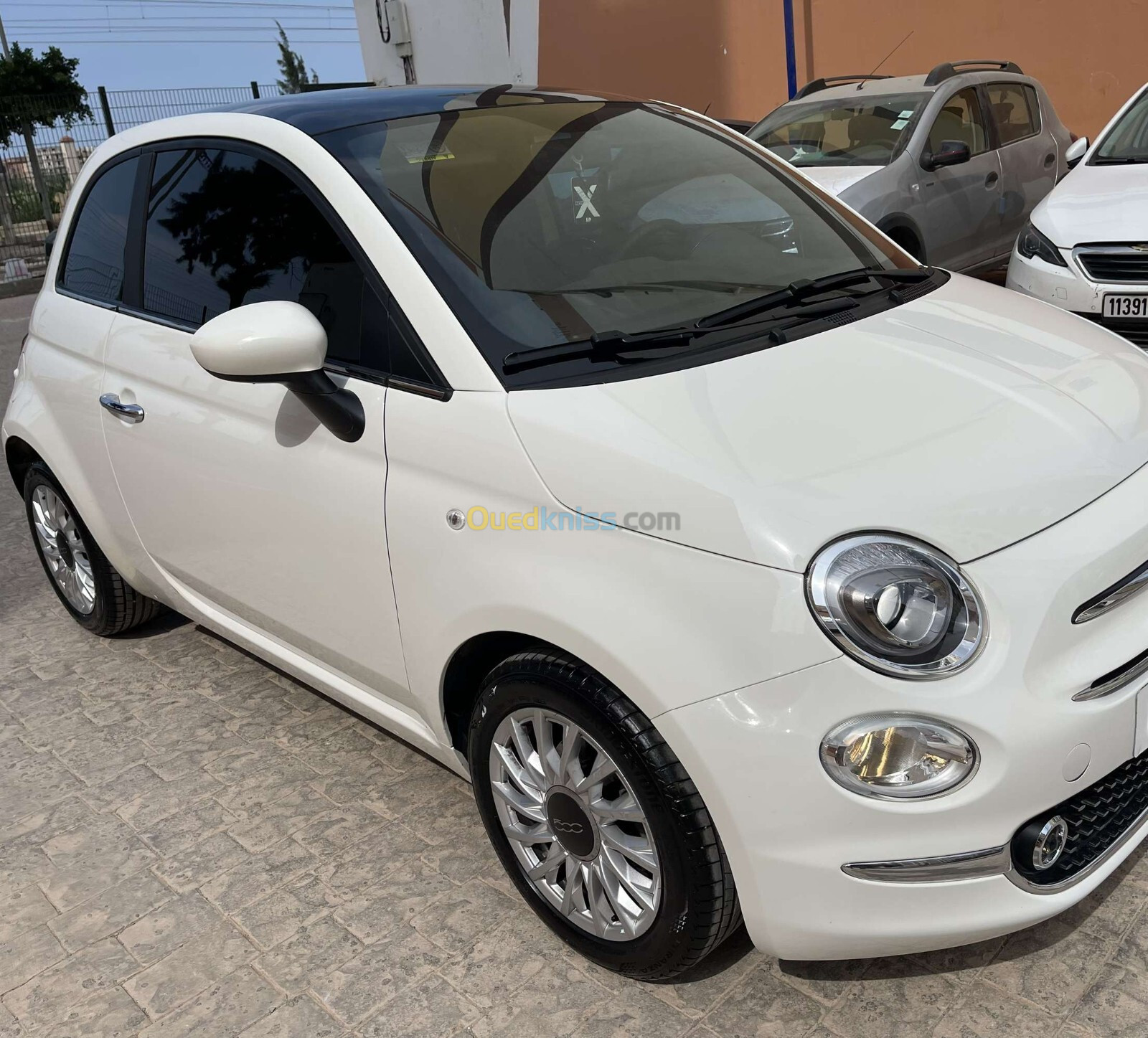 Fiat 500 2023 Club