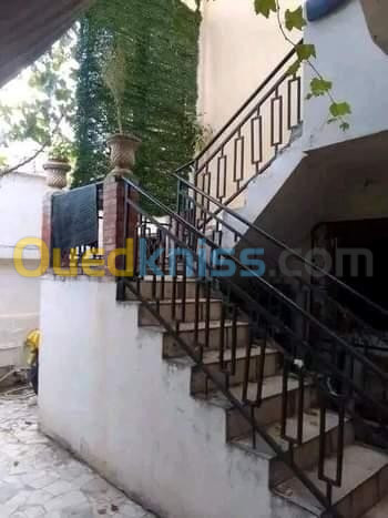 Vente Duplex F6 Annaba Annaba