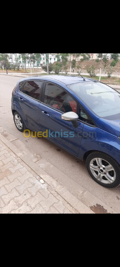 Ford Fiesta 2010 Fiesta