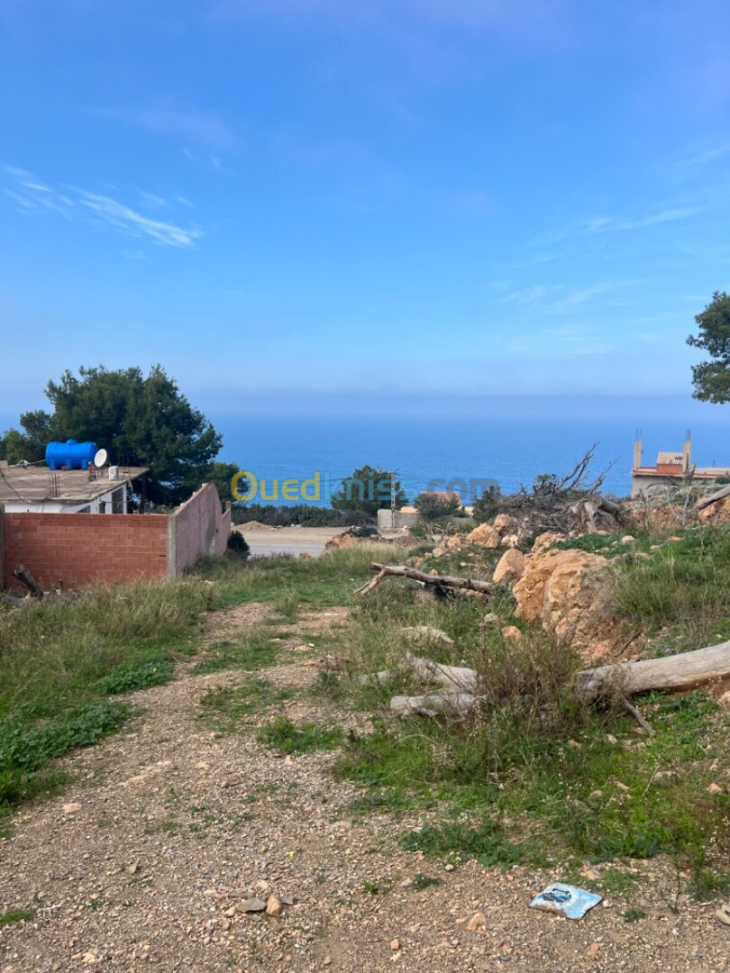 Vente Terrain Tipaza Larhat