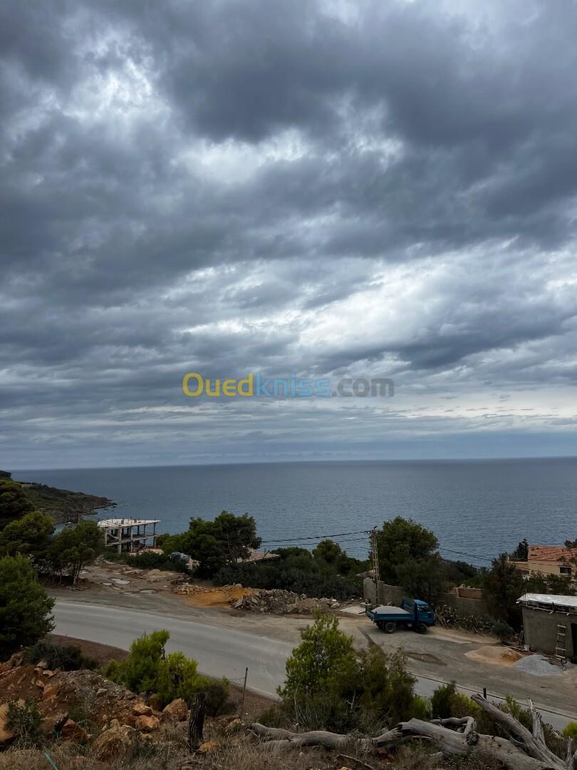 Vente Terrain Tipaza Larhat