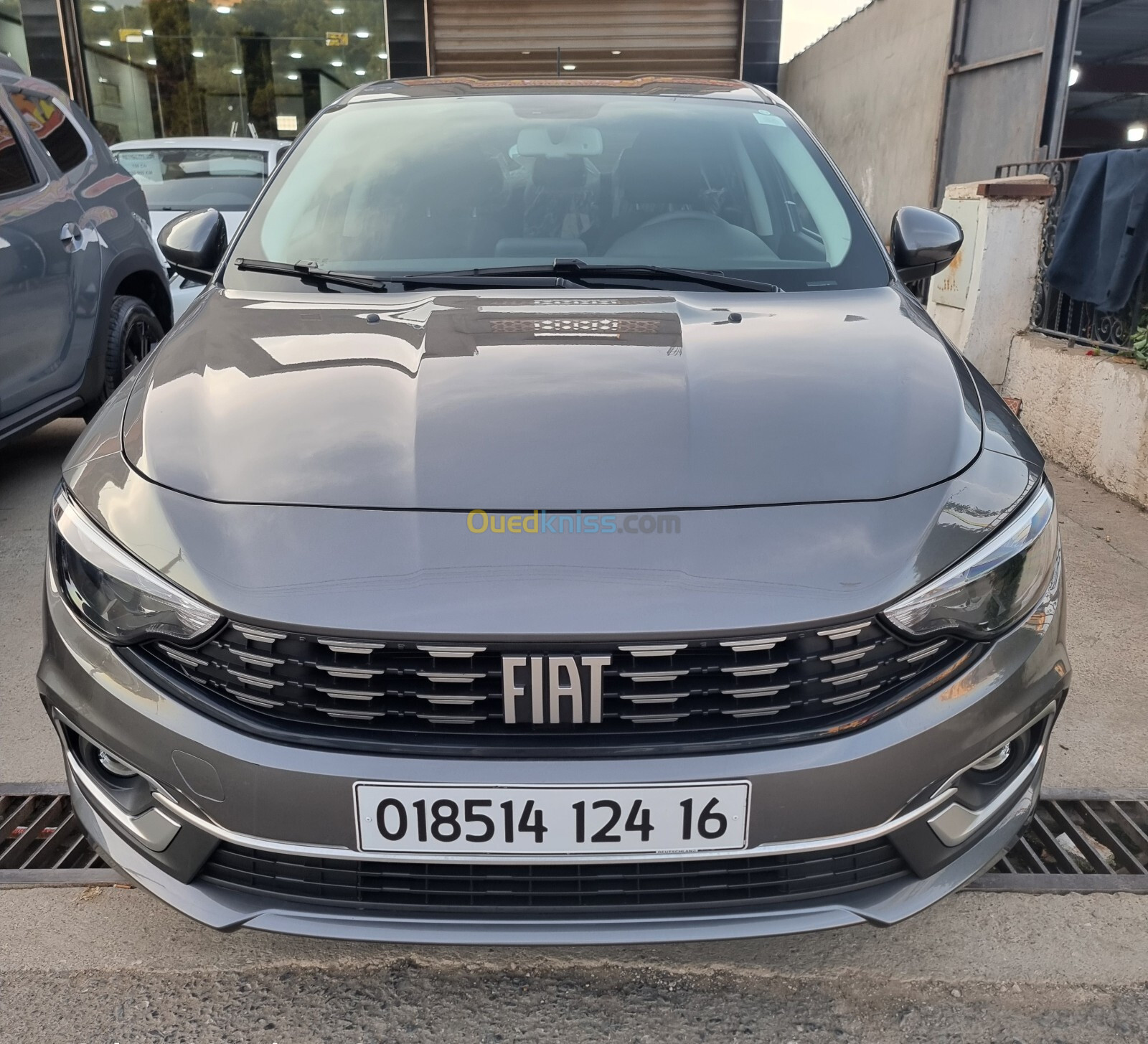 Fiat TIPO 2024 Liaf