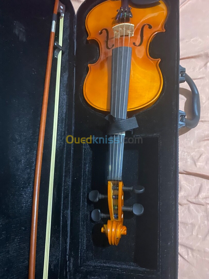 Violon 4/5 stagg