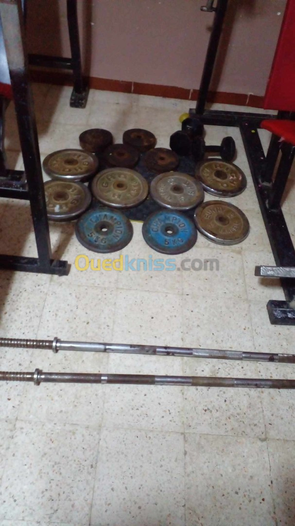 Olx gym plates hot sale