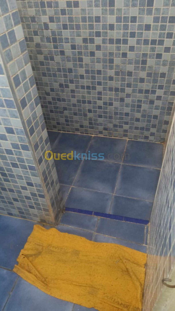 Location Appartement F3 Oran Oran