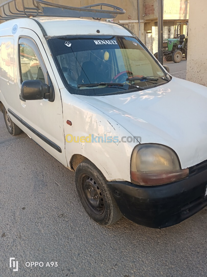 Renault Kangoo 1998 0 peinture