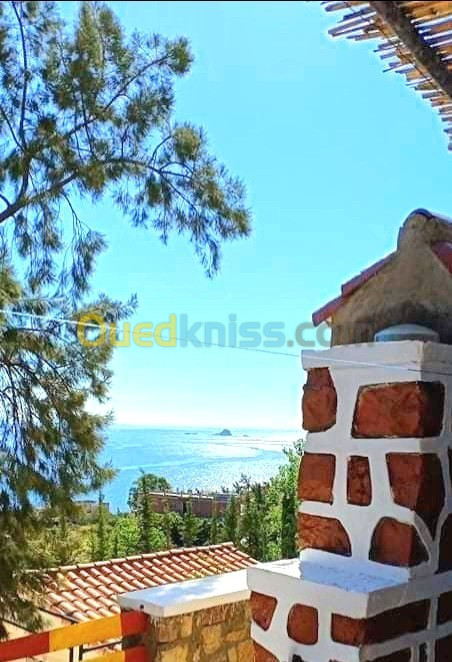 Location Appartement F1 Béjaïa Bejaia