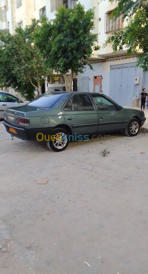 Peugeot 405 1991 405