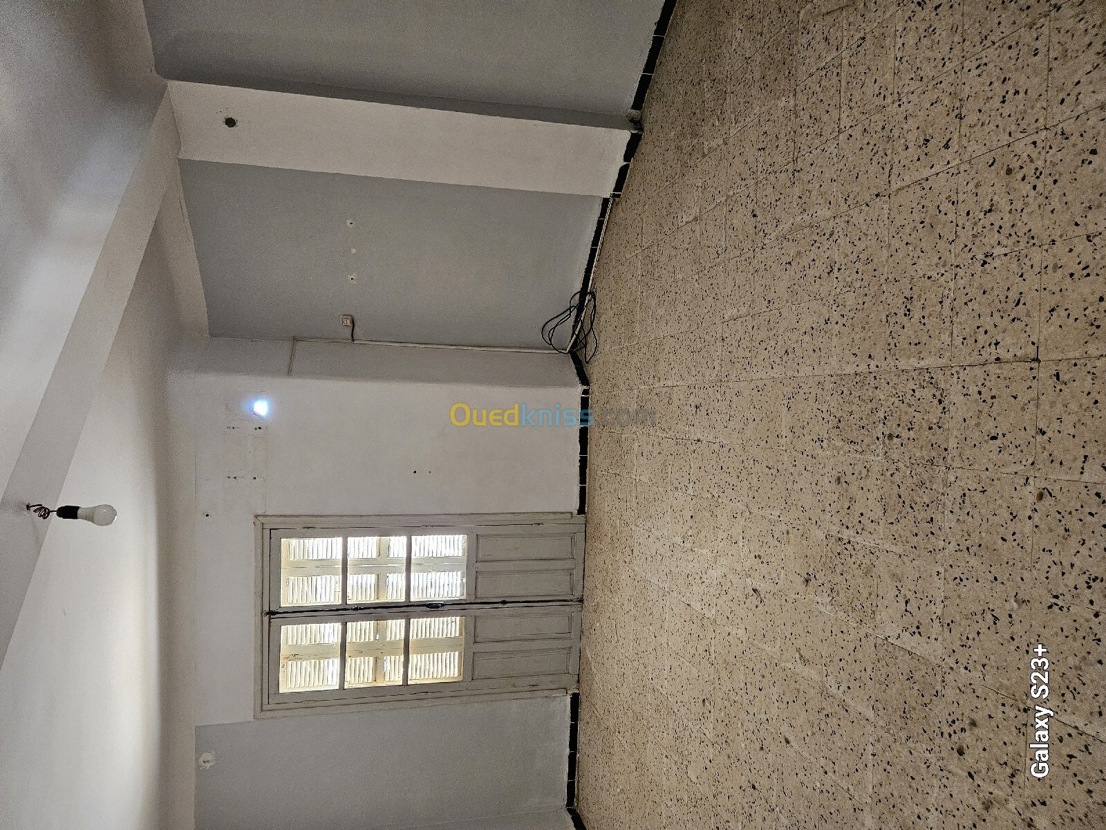 Vente Appartement Chlef Chlef