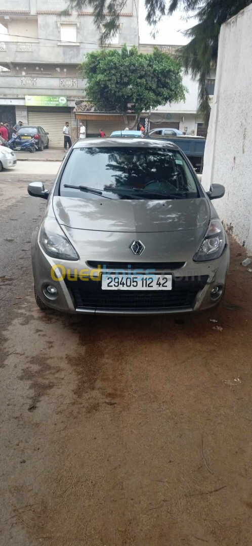 Renault Clio 3 2012 Night and Day