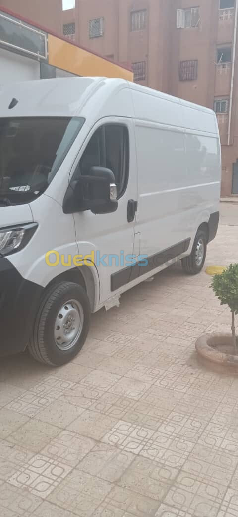 Fiat ducato 2023