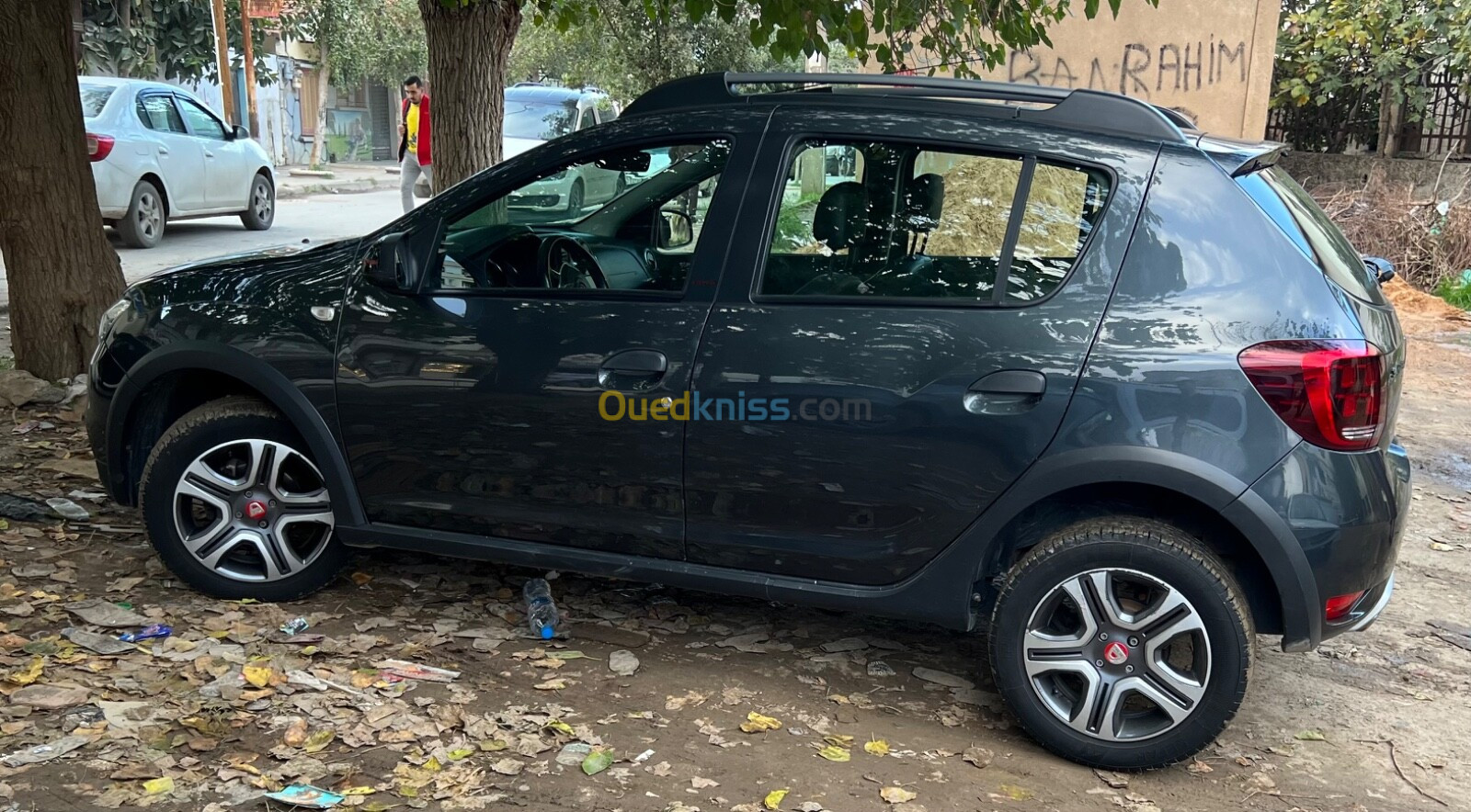 Dacia Sandero 2019 Stepway techroad