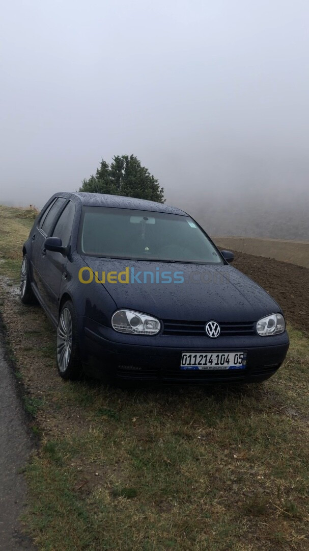 Volkswagen Golf 4 2004 Golf 4