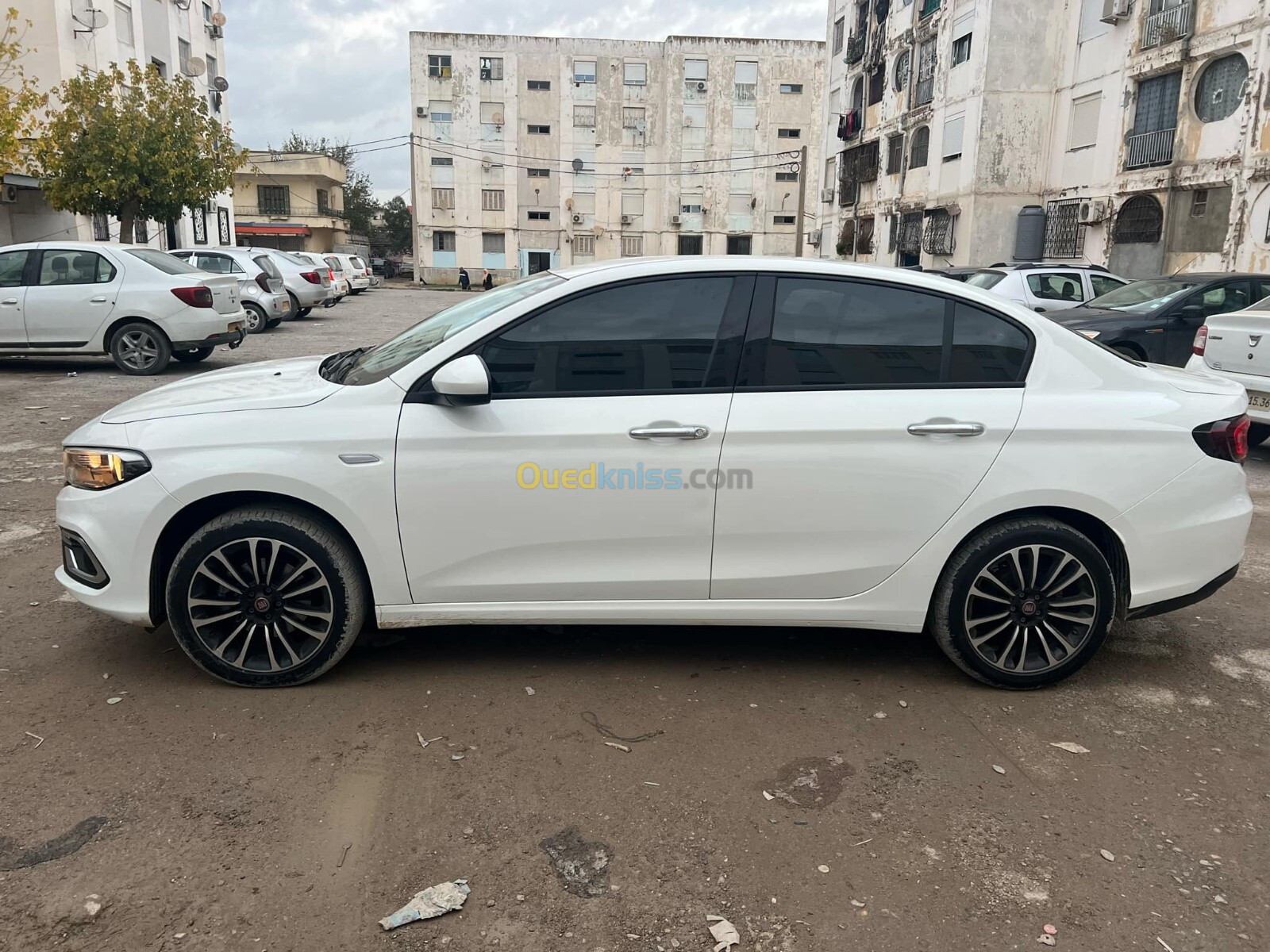 Fiat Fait tipo laif 2023 Laif