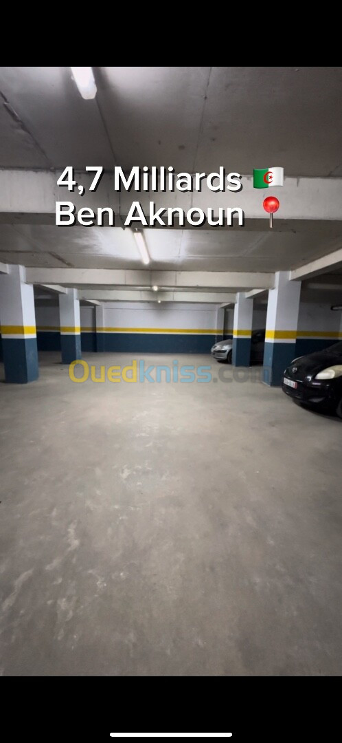 Vente Appartement F4 Alger Ben aknoun