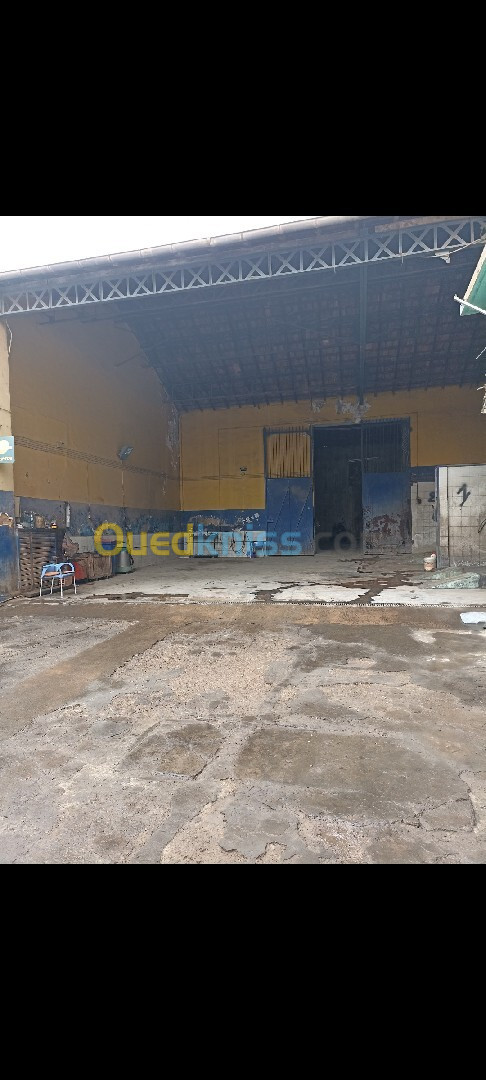 Vente Hangar Sidi Bel Abbès Sidi bel abbes