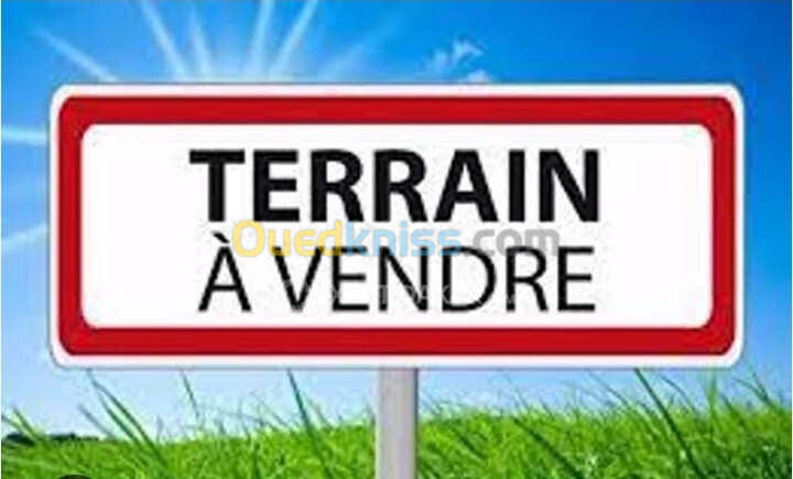 Vente Terrain Oran Bir el djir