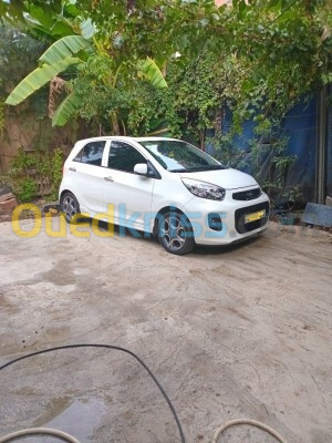 Kia Picanto 2015 Brazilia