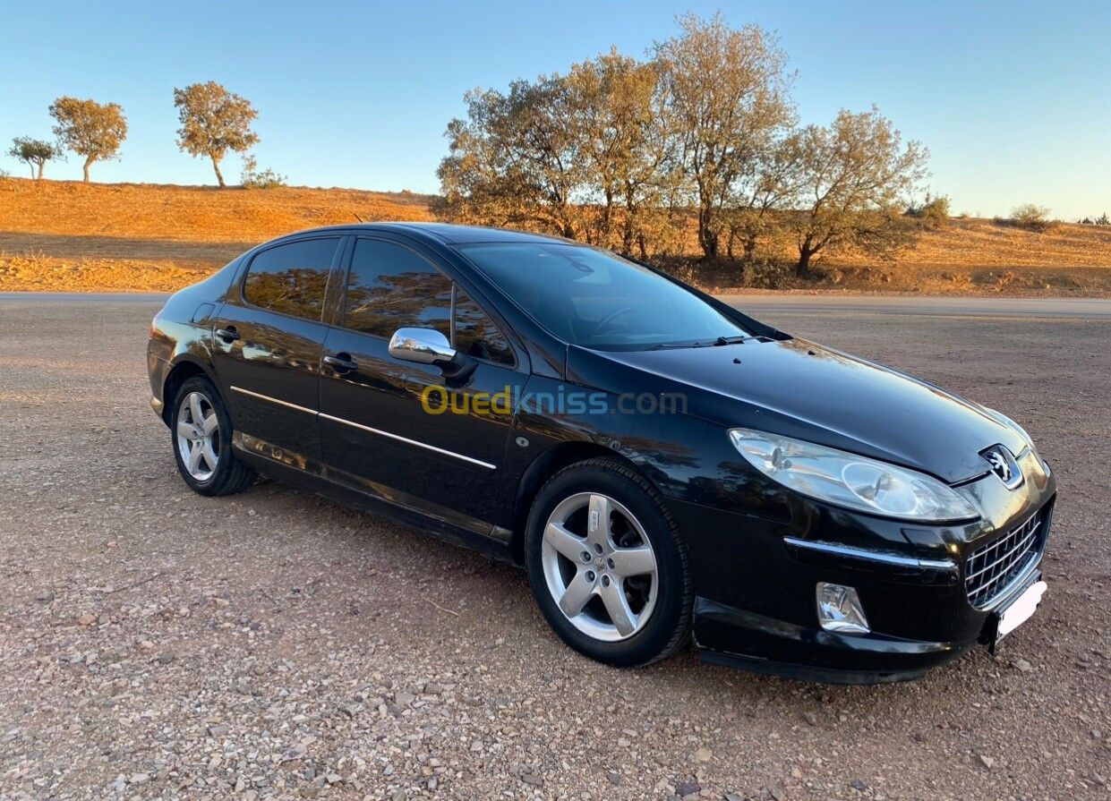 Peugeot 407 2006 407