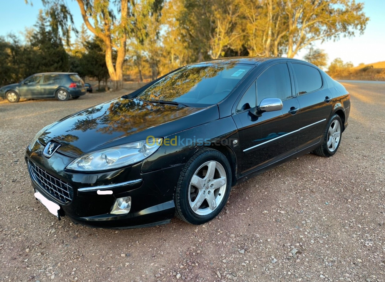 Peugeot 407 2006 407