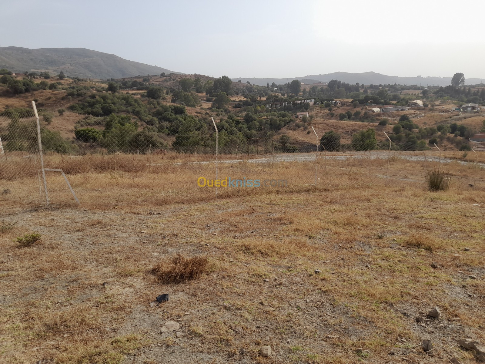 Vente Terrain Blida Djebara