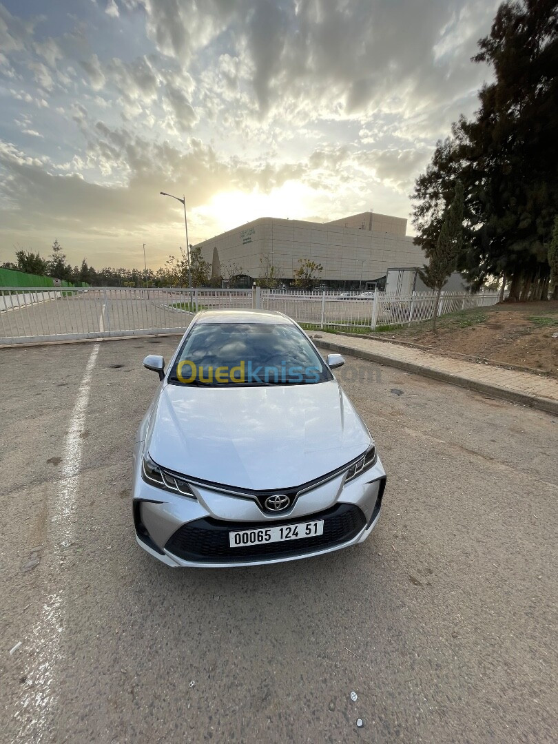 Toyota Corolla 2024 La toutou