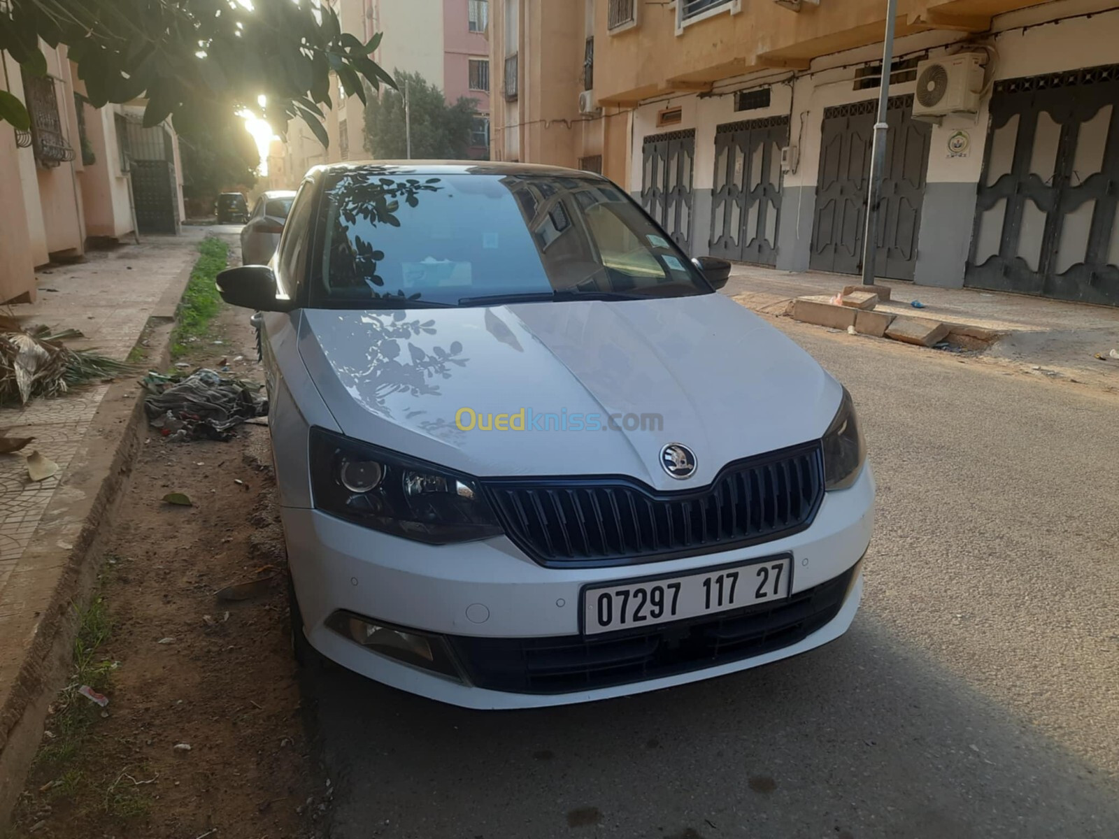 Skoda Fabia 2017 Monte Carlo