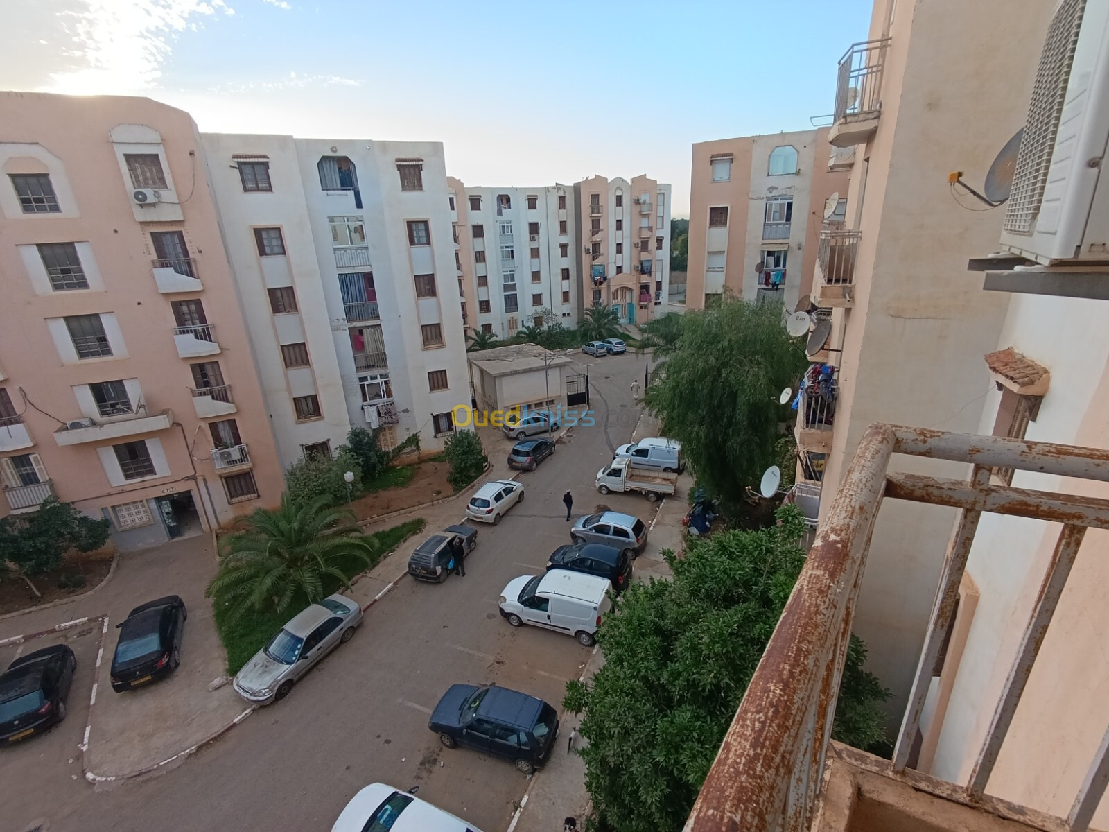 Location Appartement F3 Alger Les eucalyptus