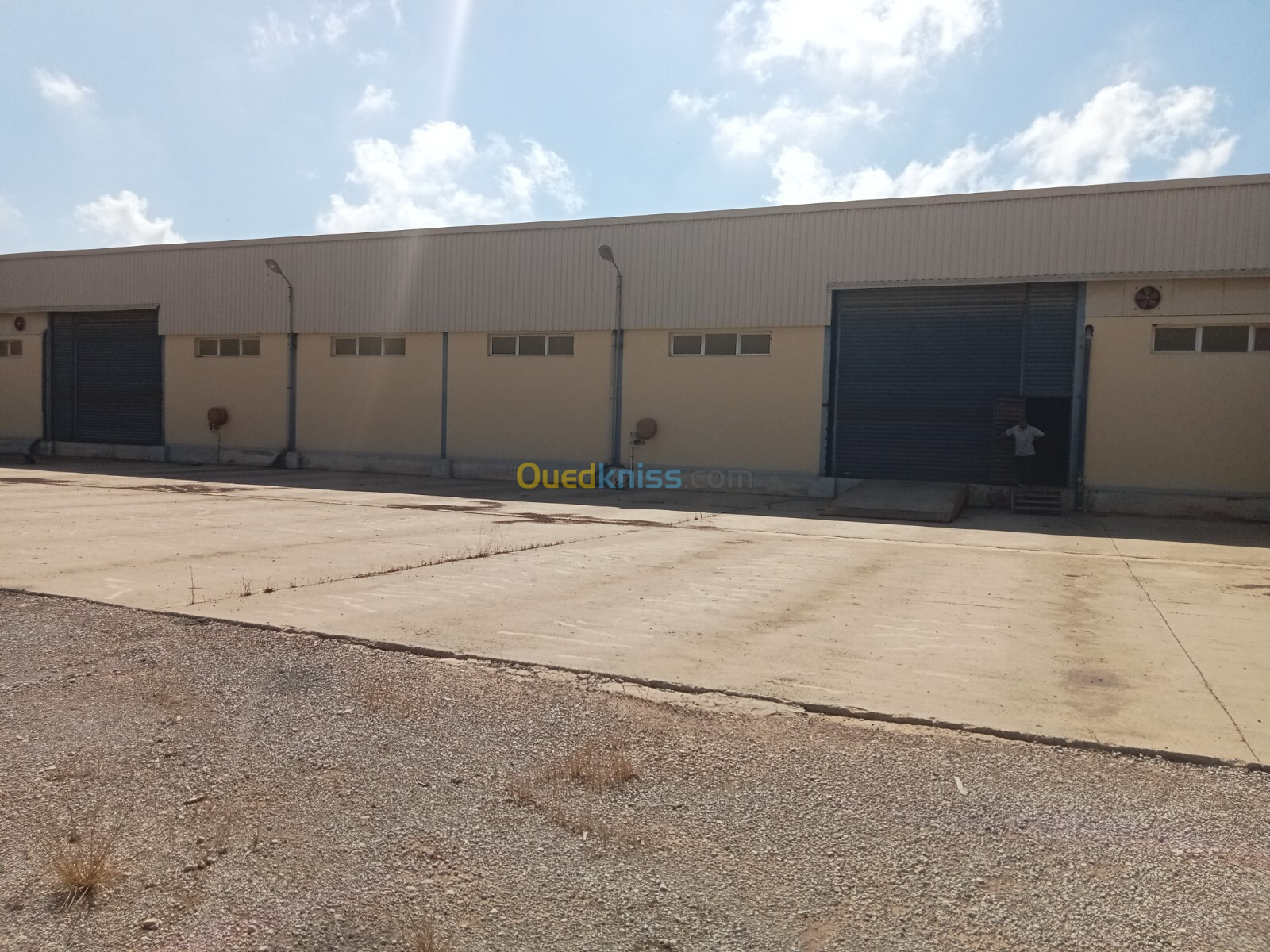 Location Hangar Tipaza Kolea